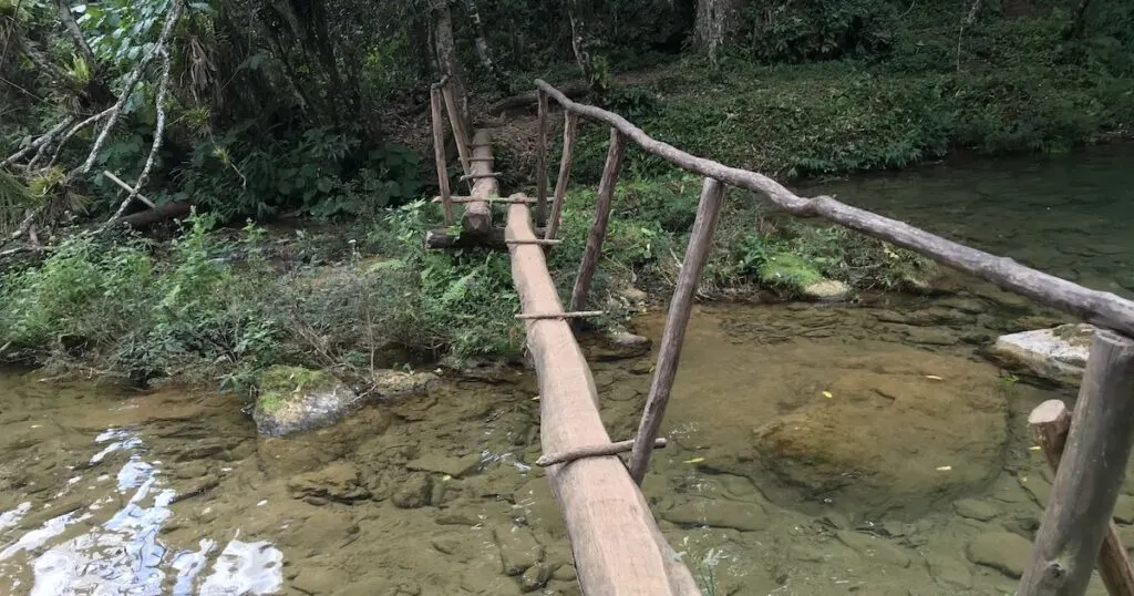 Spindly wooden bridges over a see-through stream
