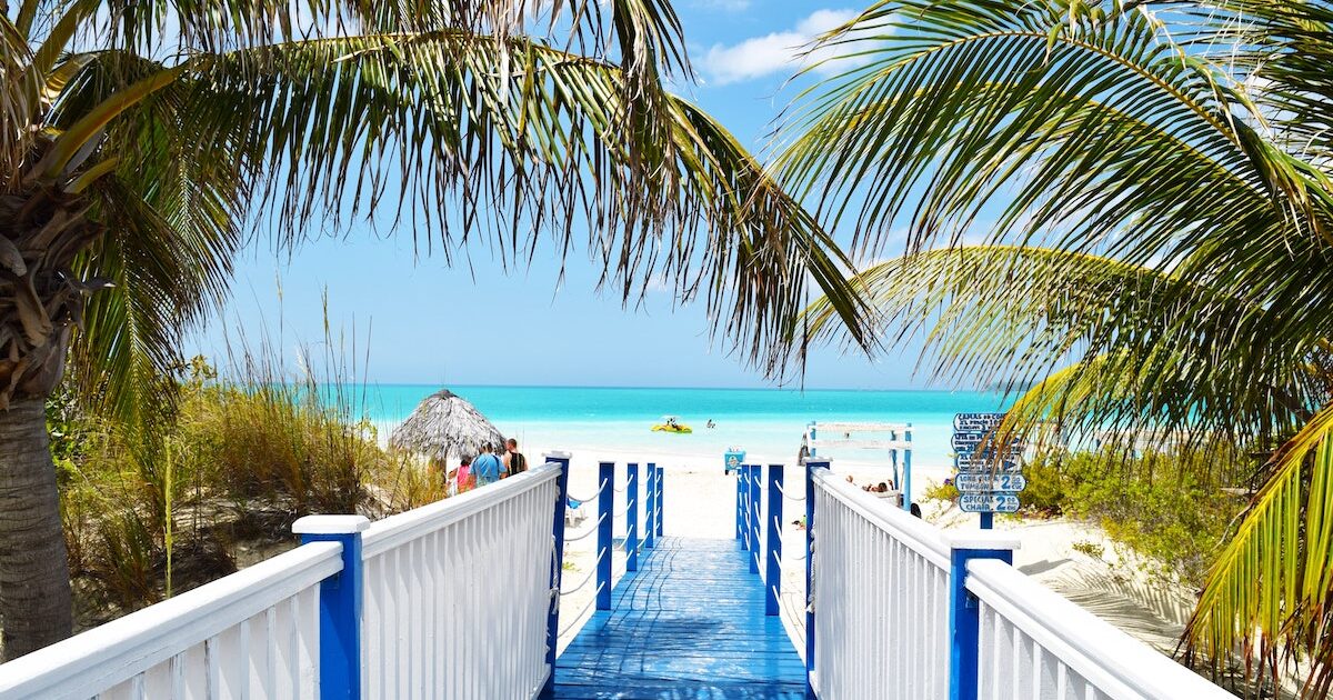 Palm trees framing a walkway to the beach