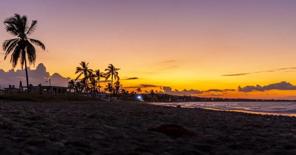 Sunset over a sandy beach with palm trees and the lights of a town