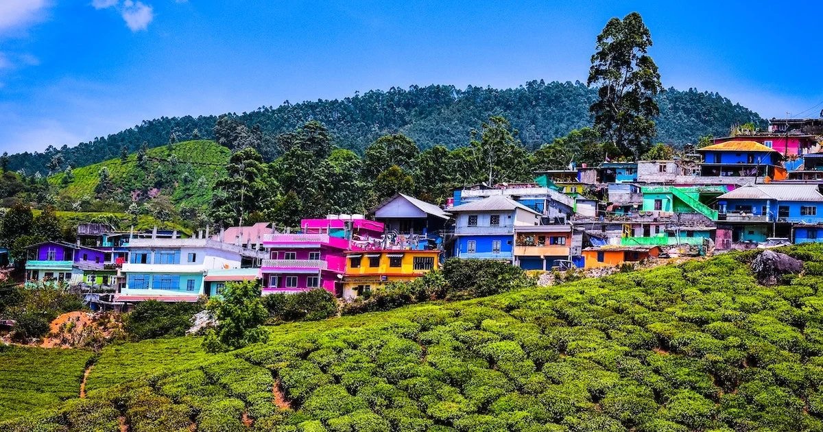 Colourful houses among green tea plantations