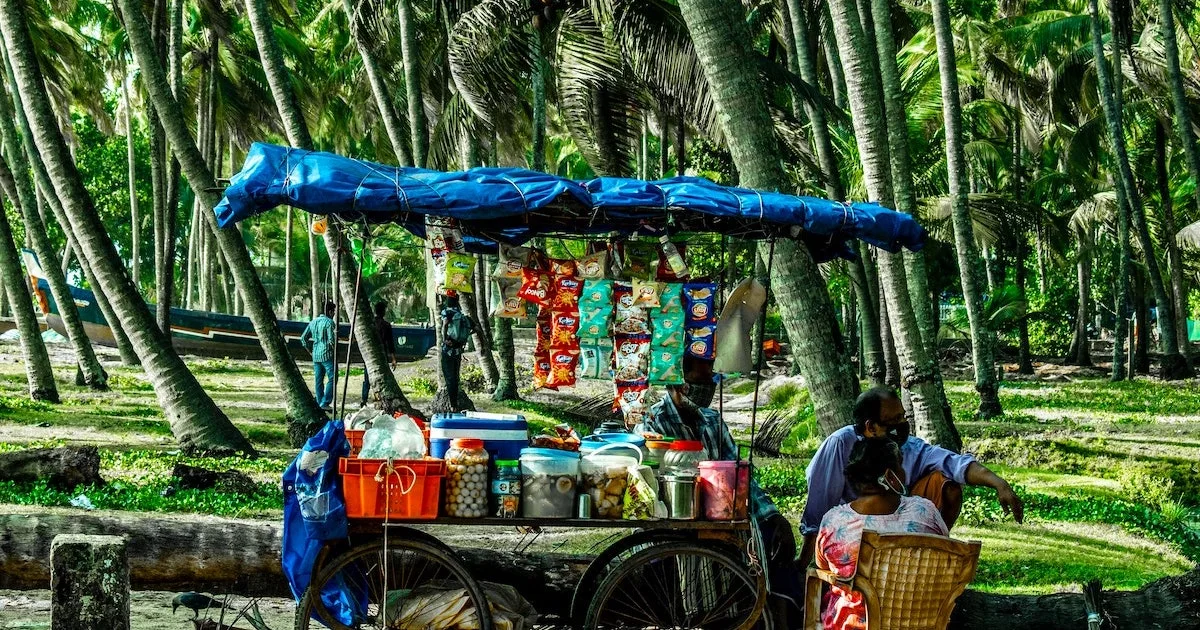 Roadside stall selling snacks next to thick palm trees