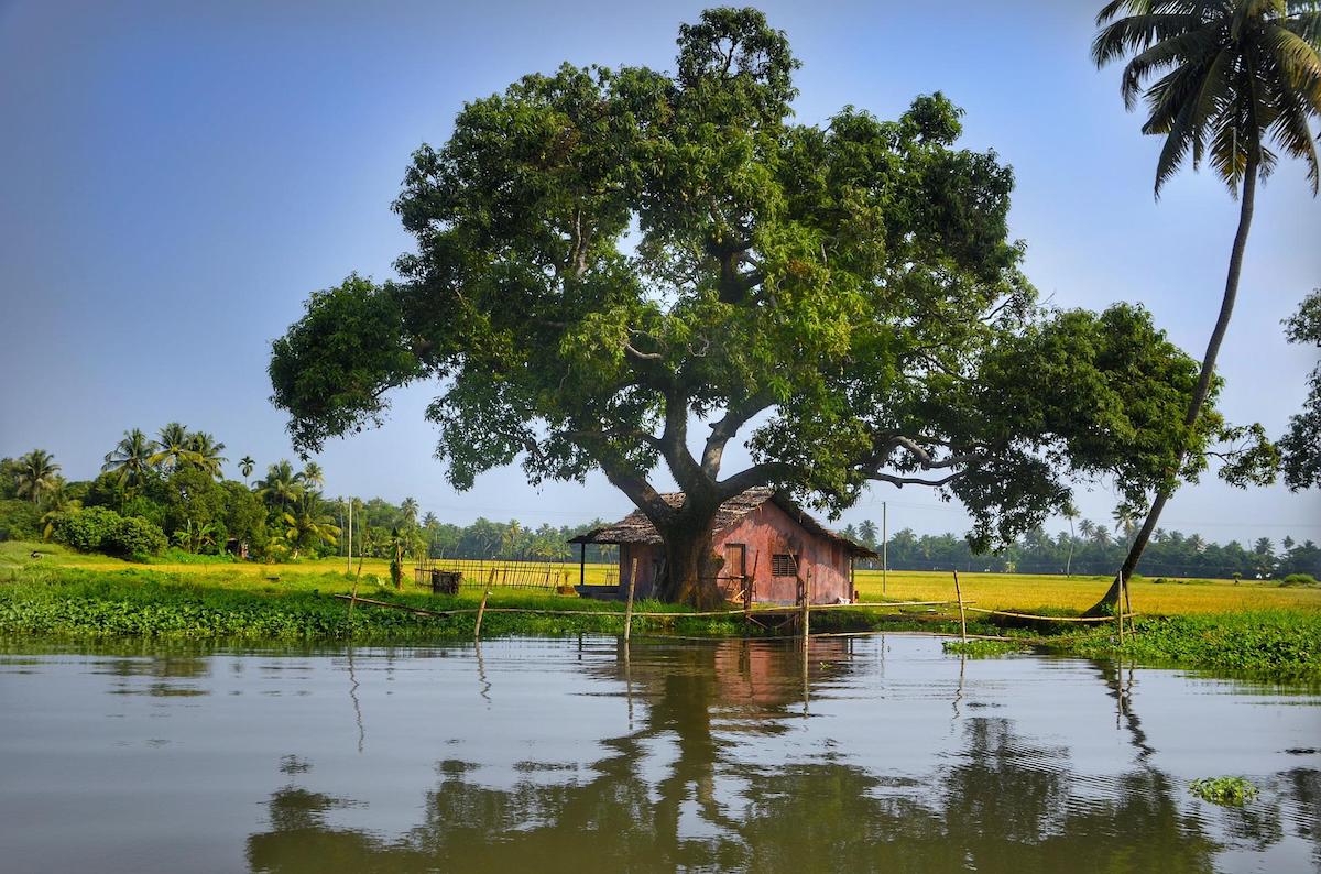 A lone shack on an island in the middle of a lagoon in Alleppey