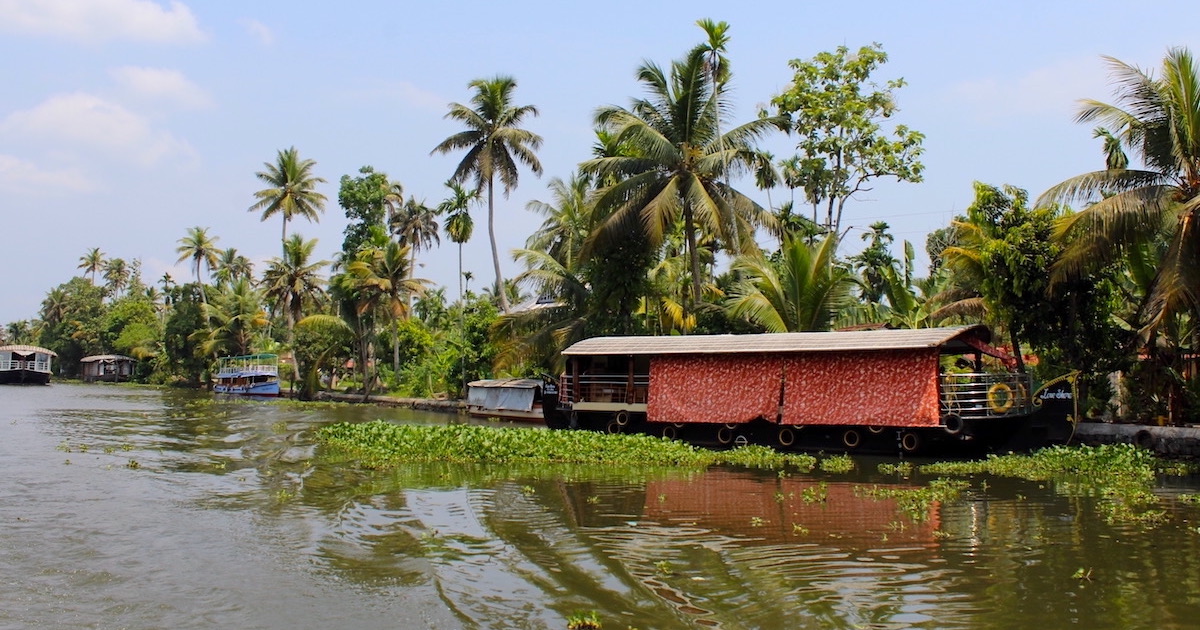Long wooden coir houseboat on Alleppey backwaters lined with palm trees.