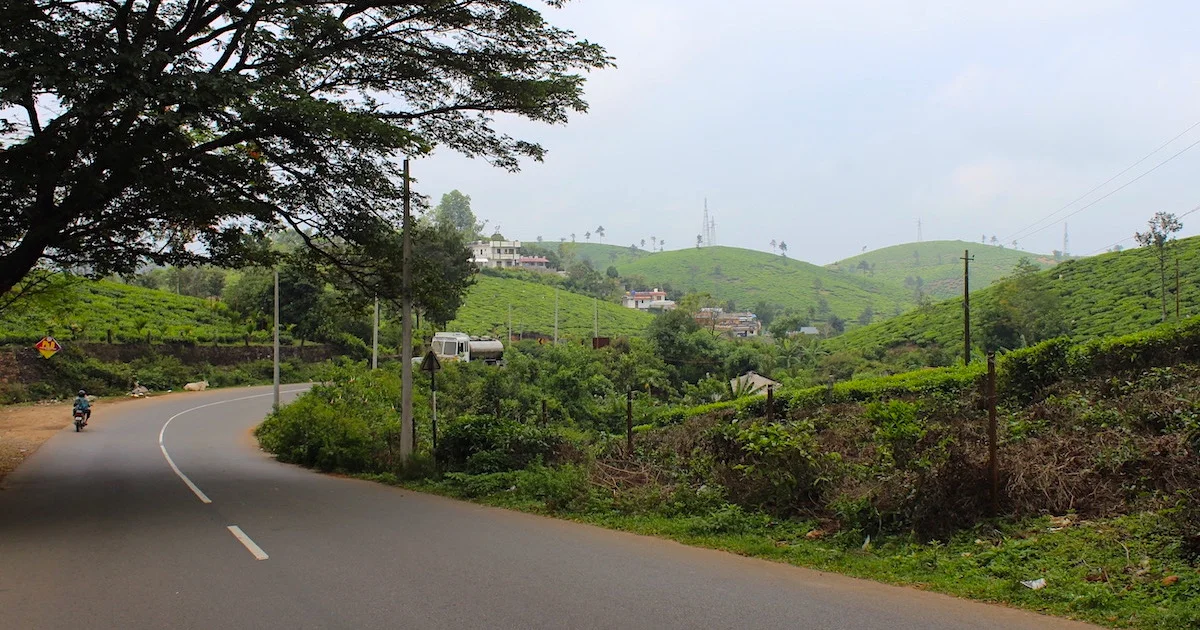 A road winds through tea plantations in the Silken Hills.