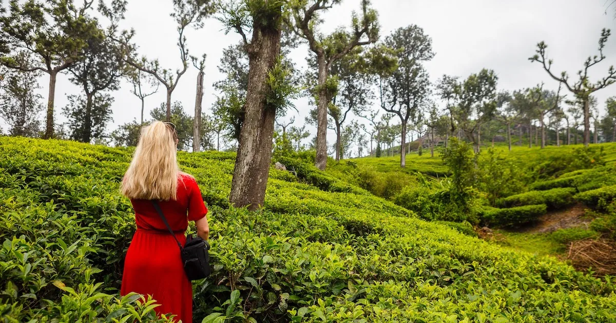Blonde woman wearing a loose, ankle-length red t-shirt dress standing in a tea plantation in Munnar