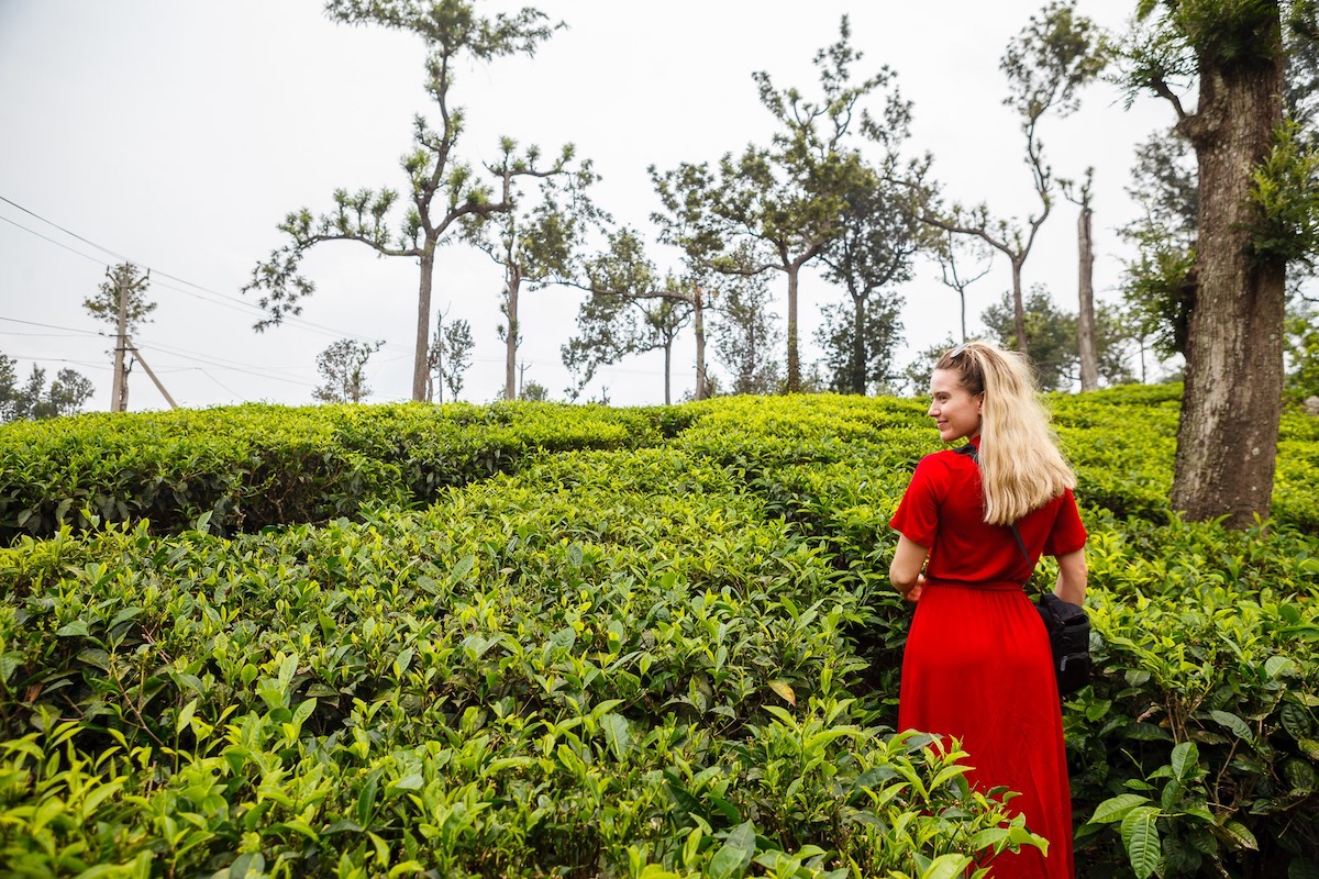 Blonde woman wearing red t-shirt dress gazes over tea bushes in Munnar