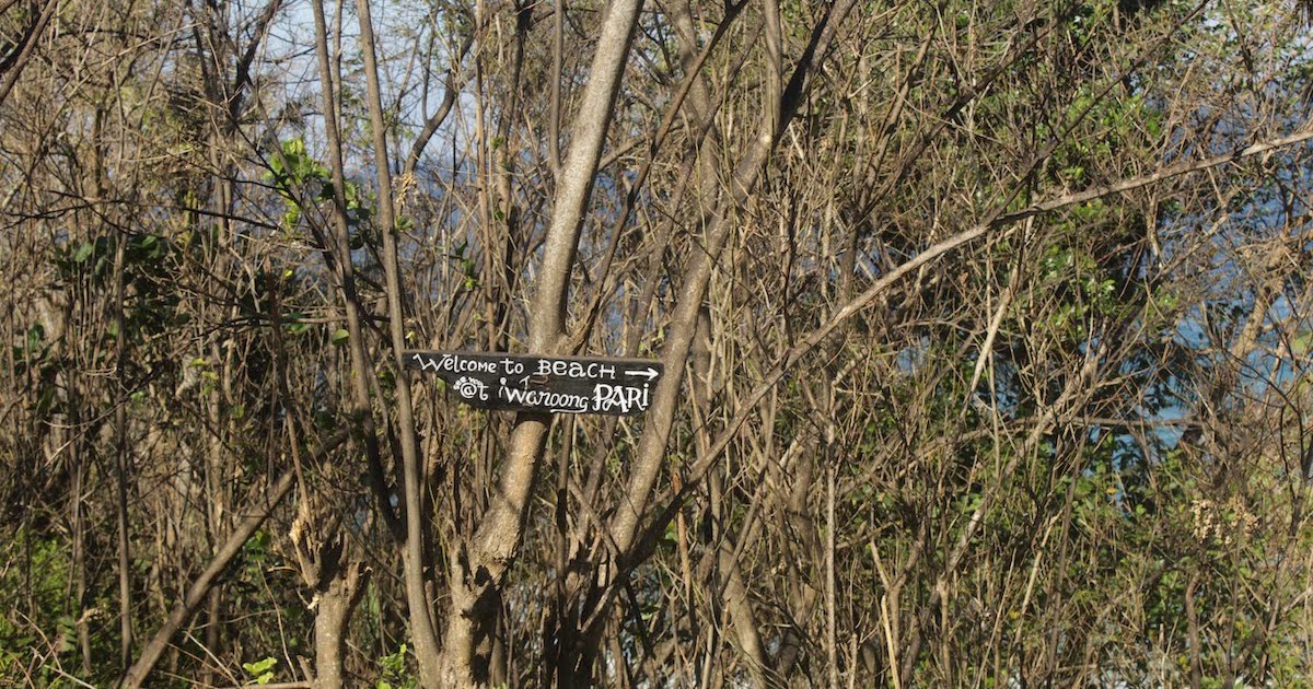 Sign for Secret Beach nailed onto a tree