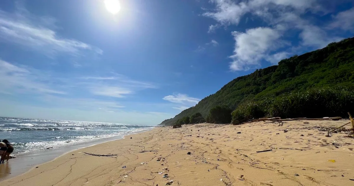 Golden sand backed by a cliff with jungle.