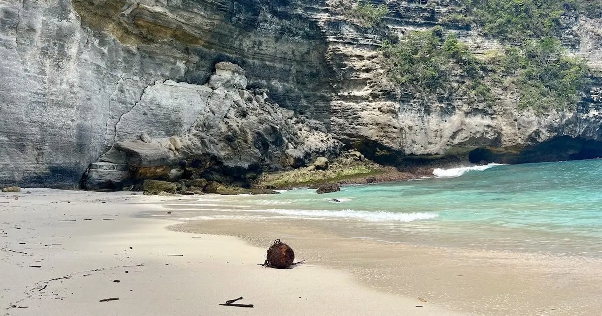 A lone coconut on the sand at Suwehan Beach.