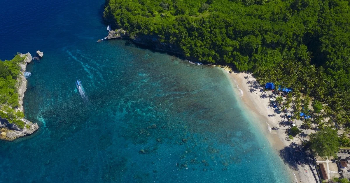 White sand and palm trees in an aerial view of Crystal Bay in Nusa Penida