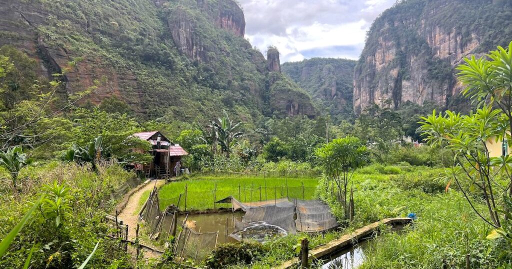 A home in Harau Valley has a pond and rice field, with cliffs in the background.