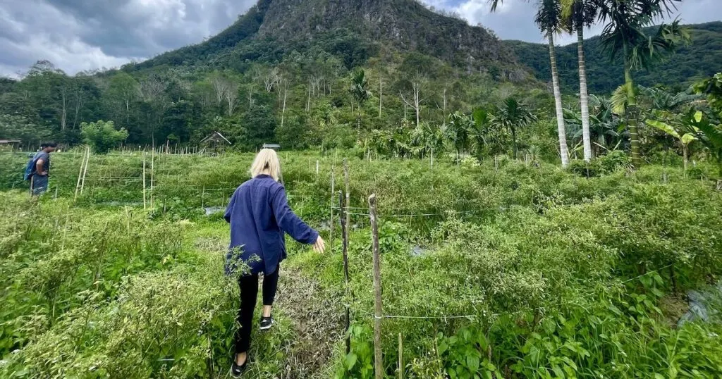 Girl wearing a blue long-sleeved shirt walks through a farm in Harau Valley.