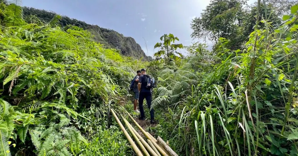 Two men wearing long trousers and t-shirts begin a hike through ferns in Harau Valley.