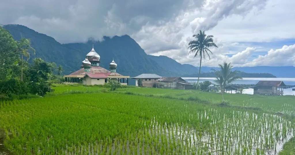 A mosque overlooks Lake Maninjau next to a watery rice terrace.