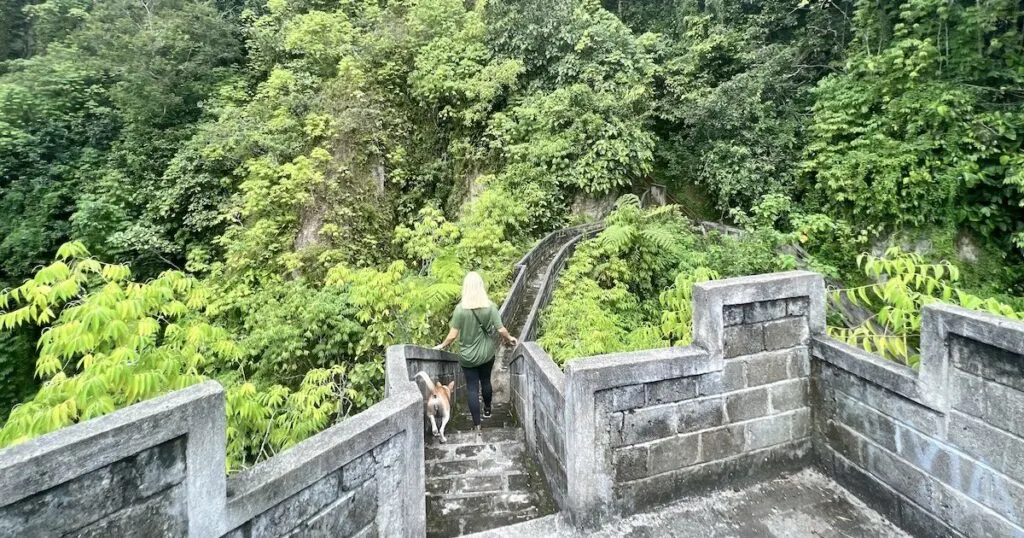 Woman and a dog climb down the stairs on the Great Wall of Koto Gadang in Bukittinggi.