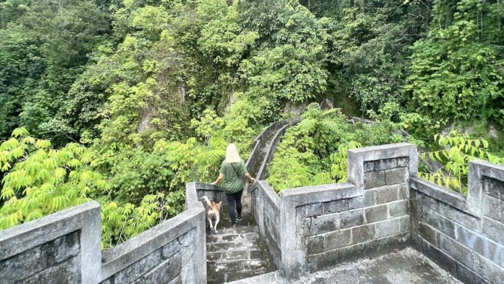 Woman and a dog climb down the stairs on the Great Wall of Koto Gadang in Bukittinggi.