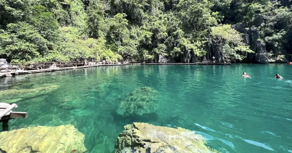 Shallow rocks and a boardwalk surrounding the green Kayangan Lake in Coron.