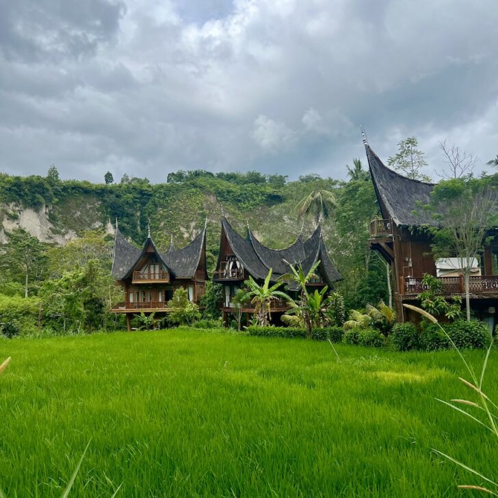Padi Ecolodge in Bukittinggi, with traditional Minangkabau huts and paddy fields.