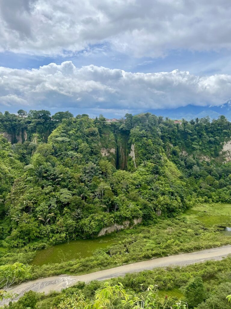 Bushy green scenery inside Sianok Canyon from the viewpoint in Koto Gadang.