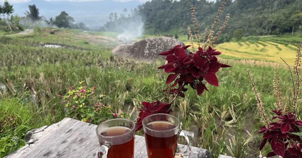 Two glasses of tea on a table at a coffee shop overlooking the Sikabu rice terraces.