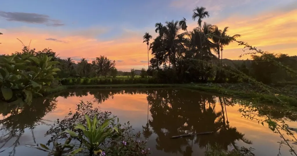 Sunset at Abdi Homestay with a view over rice terraces.