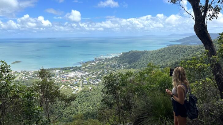 The view over rainforest and Airlie Beach from the Honeyeater Lookout Trail.