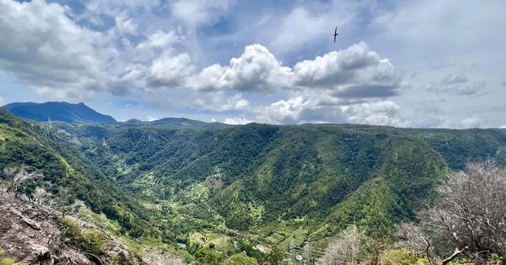 Viewpoint over green mountain ridges and farms in Harau Valley.