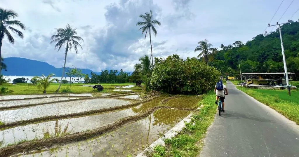 Tourist cycles along a narrow road alongside paddy fields at Lake Maninjau.