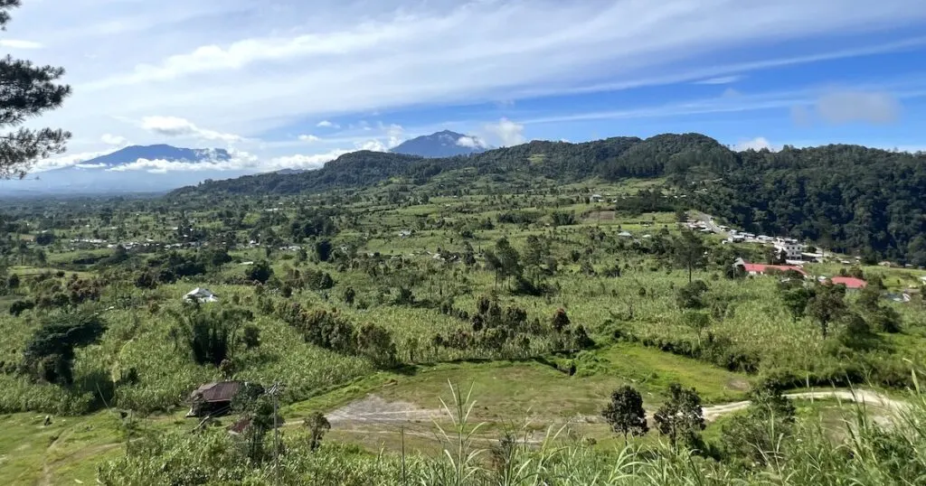 View over trees and sugar cane fields in the village of Lawang.