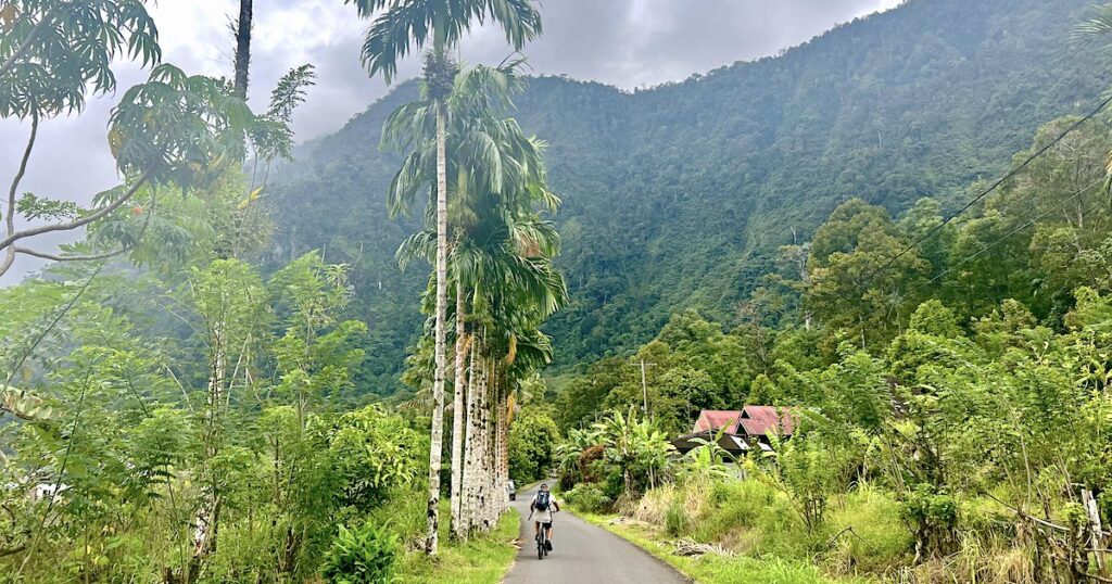 Man cycles on a road lined with tall palm trees with tall, green cliffs in the distance.