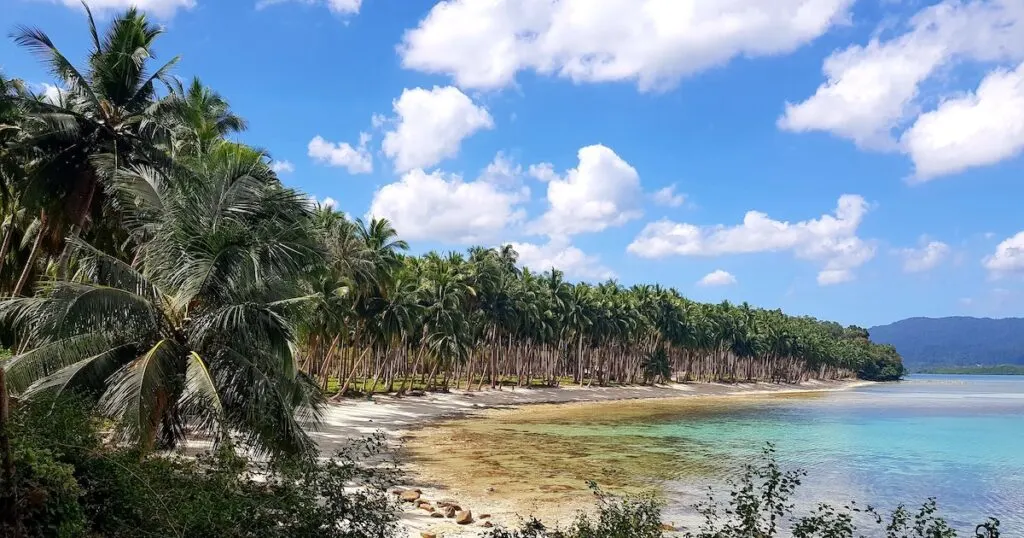 Port Barton beach in Palawan lined with palm trees.