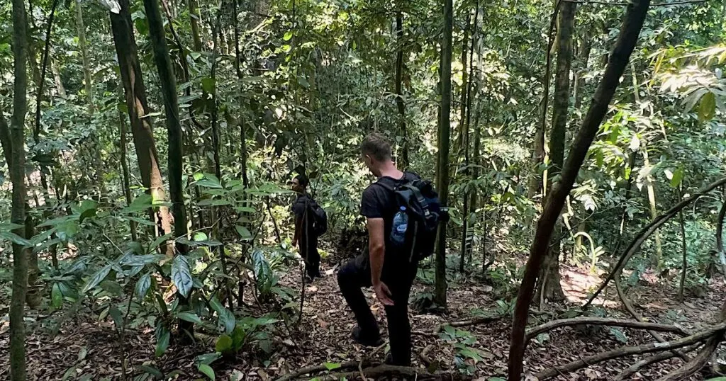 A tourist treks through the jungle, one of the best things to do in Bukit Lawang.