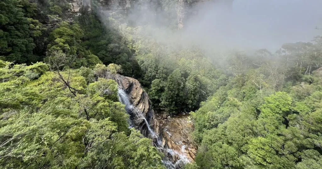 Water pours down a slotted rockface surrounded by trees in the Blue Mountains at Leura Falls.