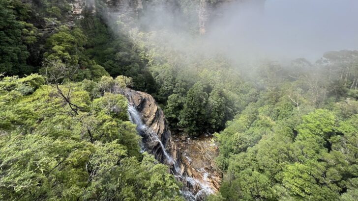 Water pours down a slotted rockface surrounded by trees in the Blue Mountains at Leura Falls.