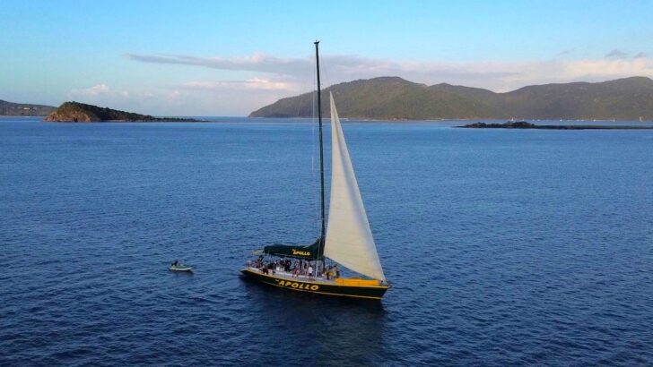 Best Backpacker Whitsundays Tours: 12 Epic and Cheap Boats