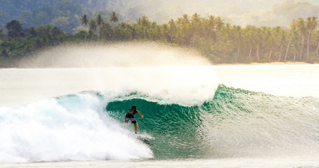 A surfer rides a large wave next to an island with palm trees in Mentawai Island.