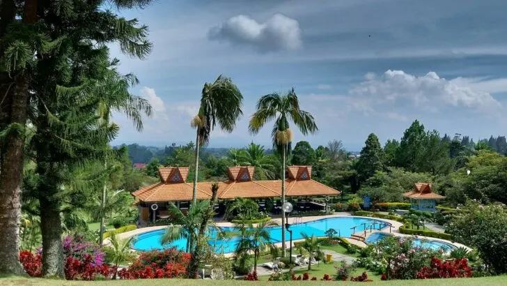 A large pool surrounded by palm trees at Sinabung Hills Resort in Berastagi, Indonesia, one of the best resorts in Sumatra.