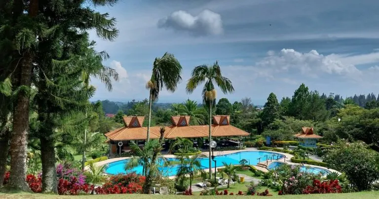 A large pool surrounded by palm trees at Sinabung Hills Resort in Berastagi, Indonesia, one of the best resorts in Sumatra.
