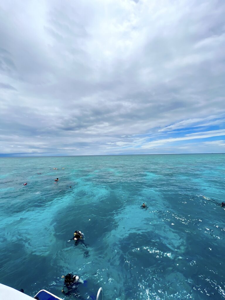 Snorkellers and divers on the Great Barrier Reef near Cairns.