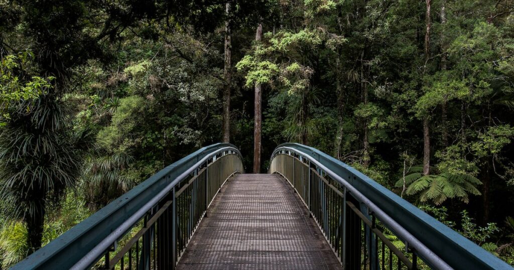 A wooden bridge at Mossman Gorge in the Daintree Rainforest.