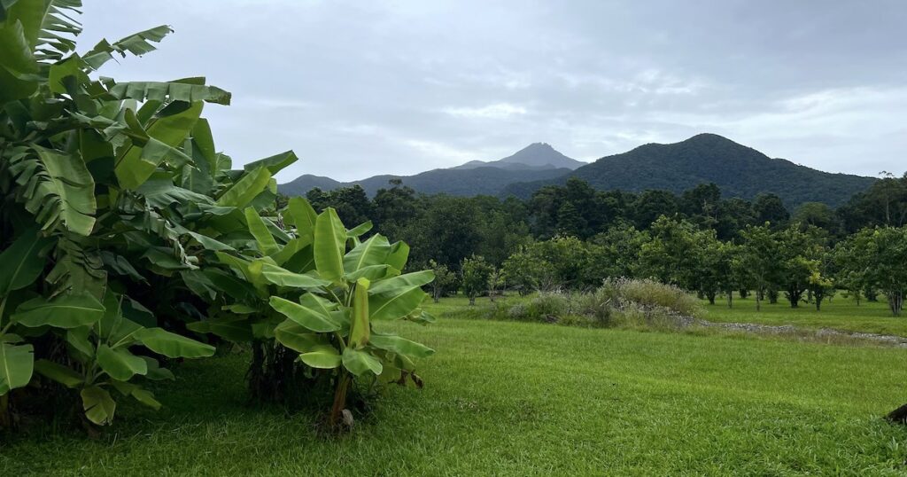 View of the farmlands and mountain from the Daintree Ice Cream Company.