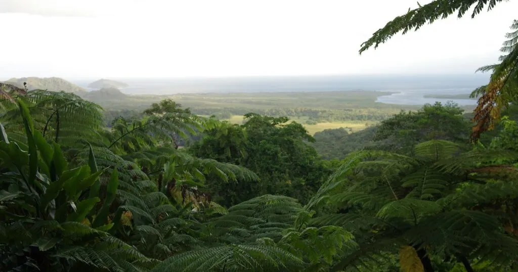 View over the Daintree Rainforest from the Mount Alexandra Lookout.