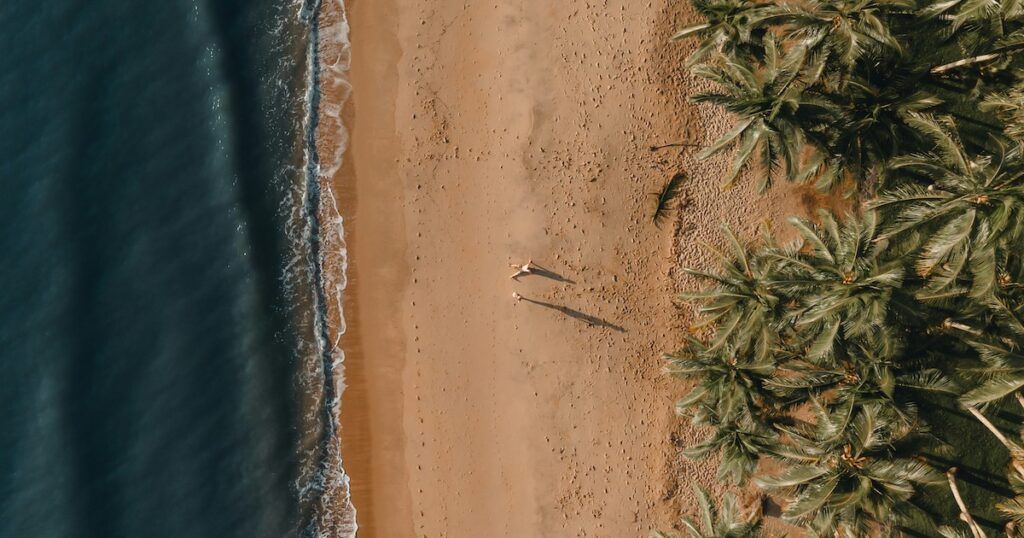 Aerial view of two people near palm trees on Palm Cove near Cairns.