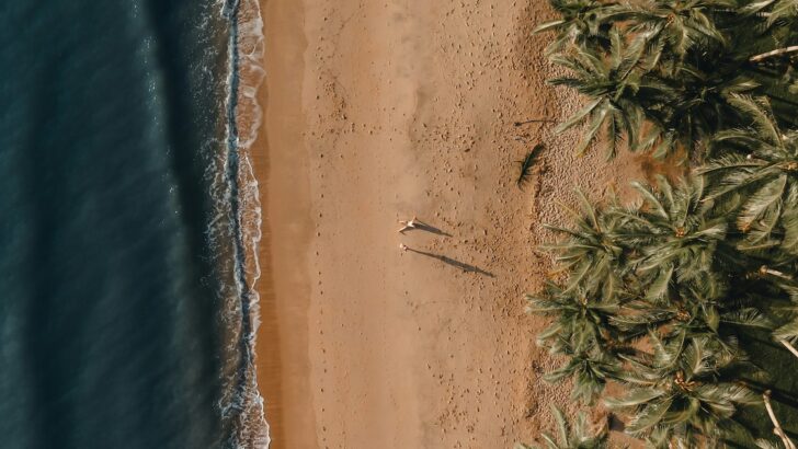 Aerial view of two people near palm trees on Palm Cove near Cairns.