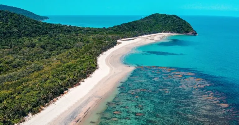 Aerial view of the Outer Great Barrier Reef next to Cape Tribulation backed by the rainforest.