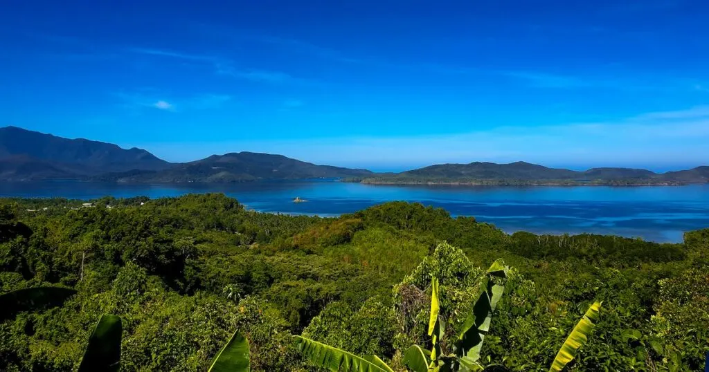 Rainforest stretching out in front of Honda Bay.