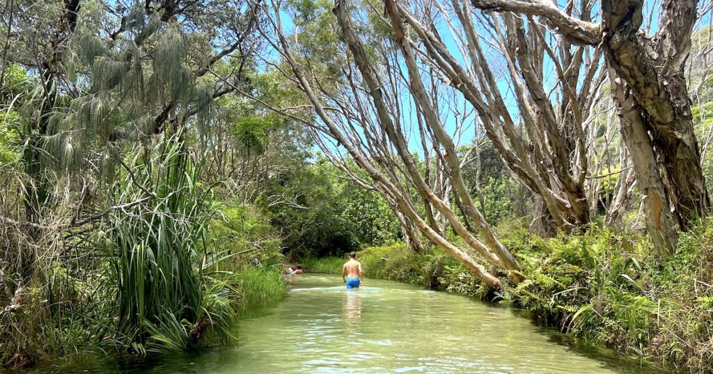 Man wearing trunks wades through Eli Creek at Fraser Island.