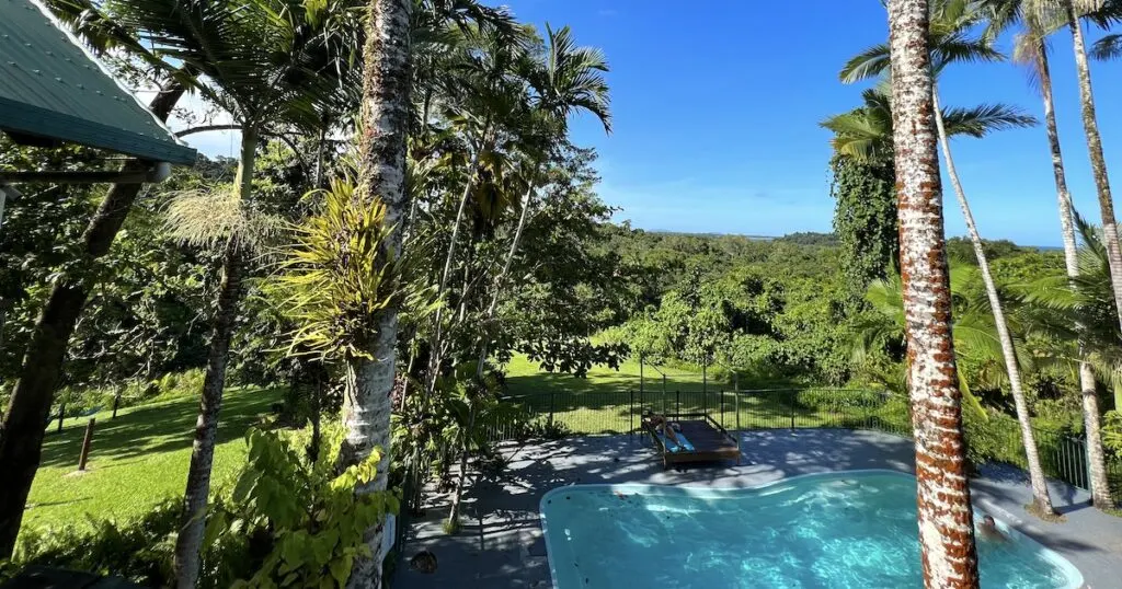 Swimming pool surrounded by palm trees at Jackaroo Treehouse Rainforest Retreat in Mission Beach.