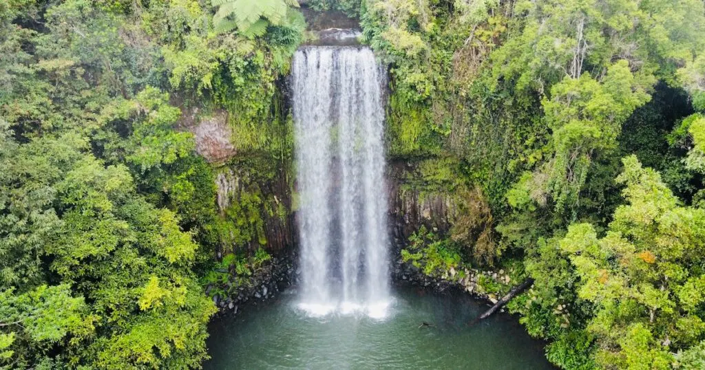 The 18-metre waterfall Milla Milla Falls plunges into a pool in the rainforest.