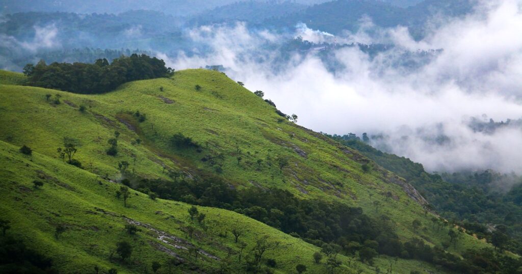 Green hills surrounded by clouds in Wayanad, a highland area in Kerala.